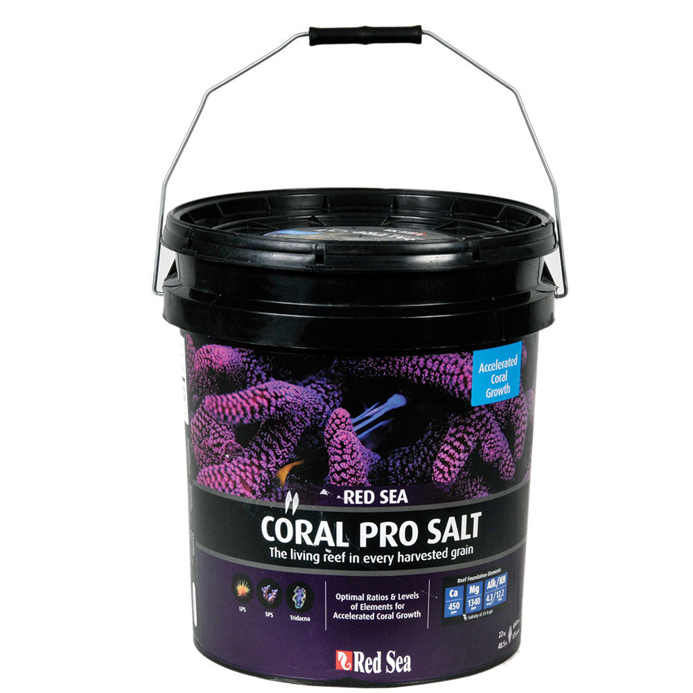 新作ウエア Sea Red Coral IwarnaOnline – 22KG Salt Pro 海水魚用品