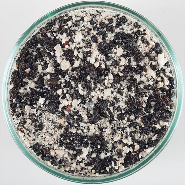 CaribSea Arag-Alive Indo-Pacific Black sand